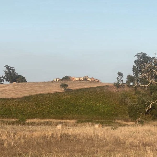 Ruína de um monte no alto de uma colina, entre searas e vinha